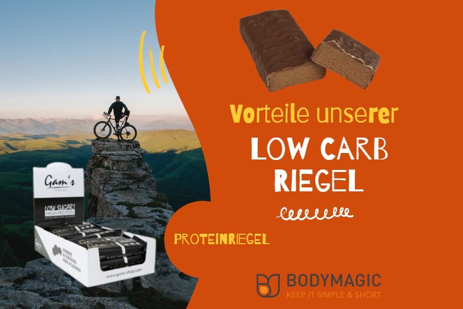 Low Carb Riegel